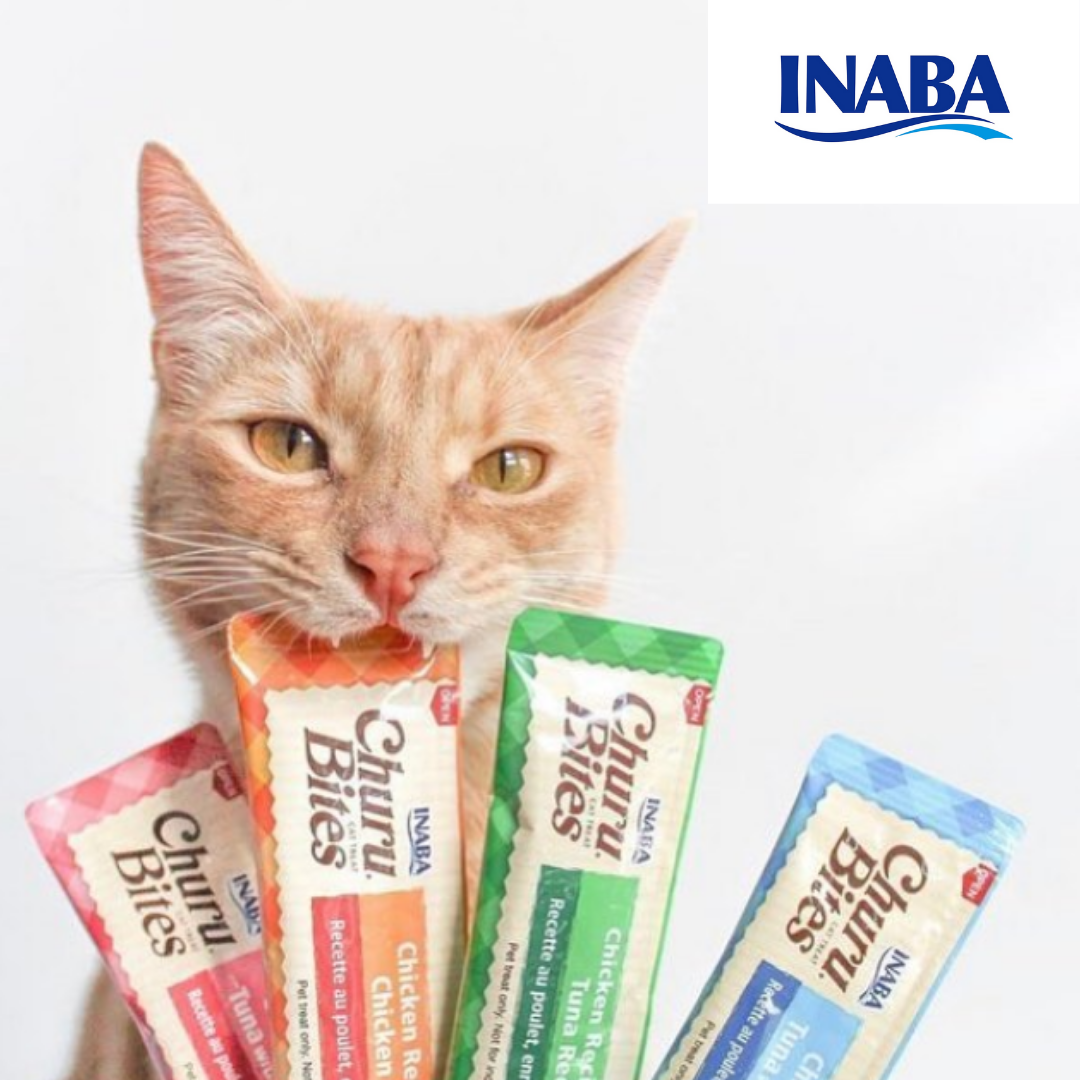 Wholesale cat supplies discount